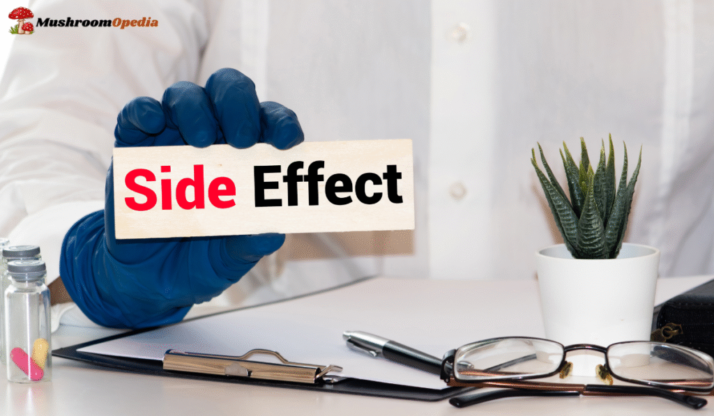 Wunder Mushroom Gummies Review