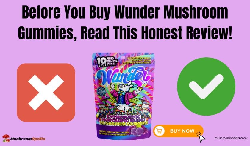 wunder mushroom gummies review