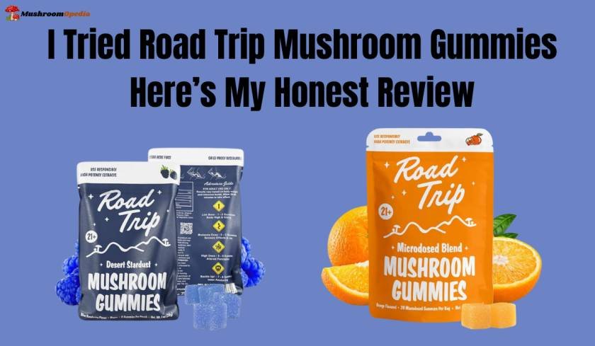 road trip mushroom gummies review