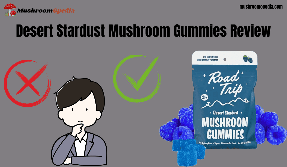 Desert Stardust Mushroom Gummies Review