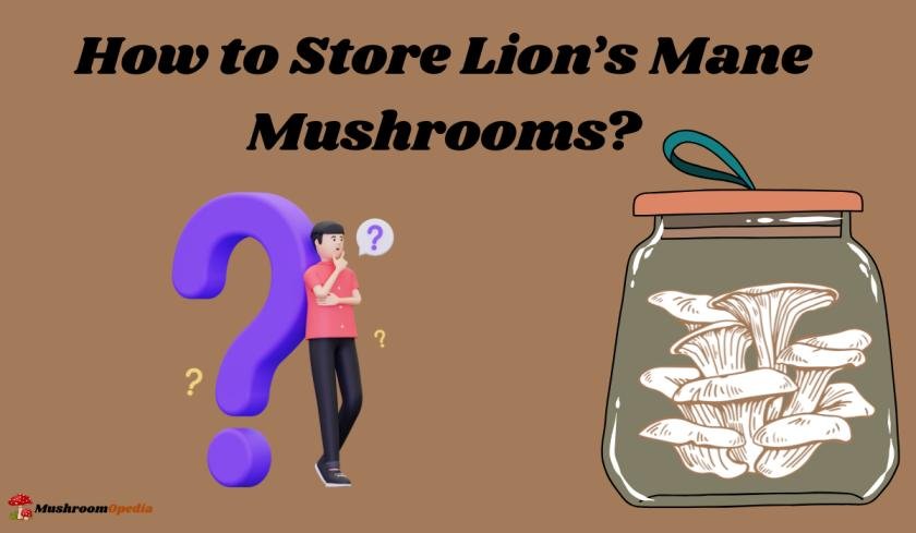How to Store Lion’s Mane Mushrooms